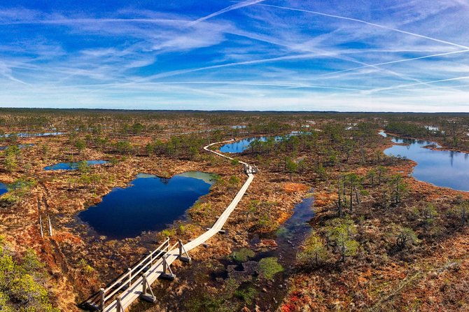 from-riga-best-of-kemeri-national-park-in-one-day