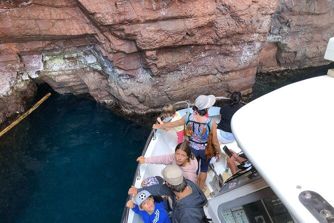 from-sagone-cargese-scandola-calanques-piana-girolata-swimming