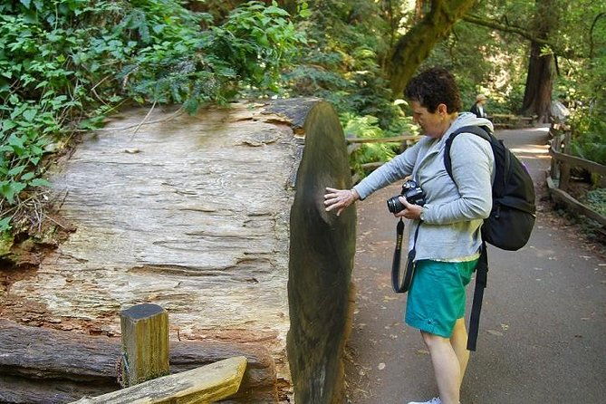 from-san-francisco-guided-tour-to-muir-woods-coastal-redwoods