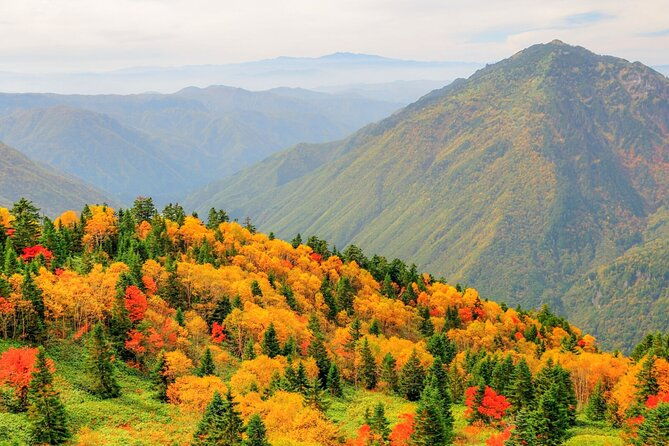 from-takayama-alpine-splendor-shinhotaka-ropeway-and-kamikochi