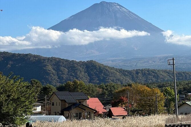 from-tokyo-mt-fuji-pvt-1-day-customized-tour-with-english-driver