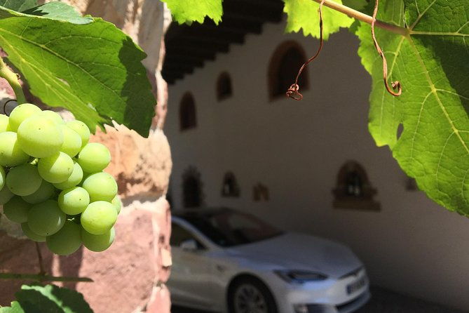 full-day-alsace-private-tour-tailored-by-your-friendly-driver