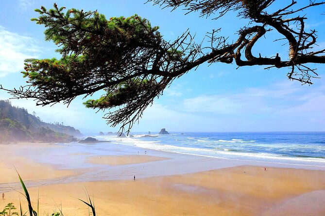full-day-guided-oregon-coast-tour-from-portland
