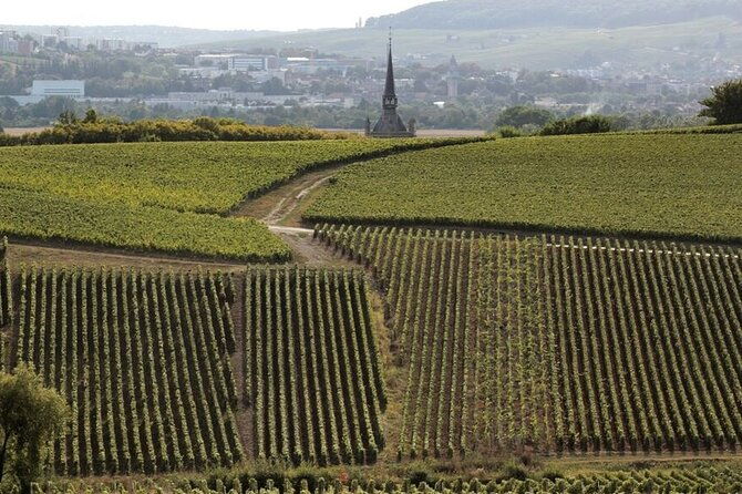 full-day-private-champagne-tasting-in-reims-and-its-vineyards