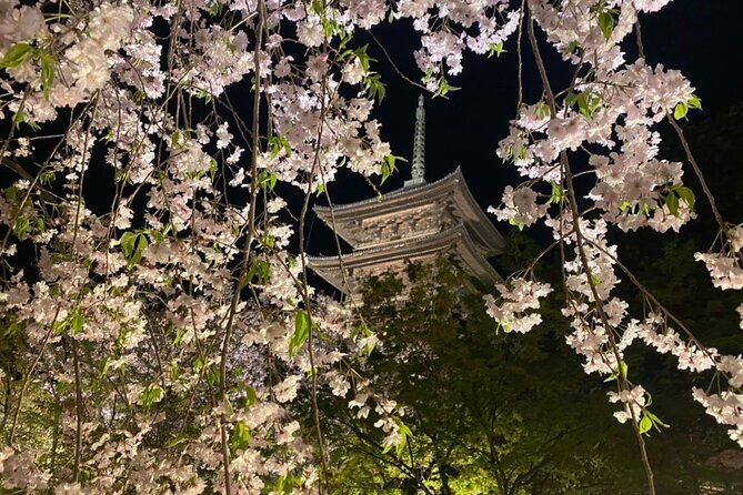 full-day-private-tour-in-kyoto-with-pickup