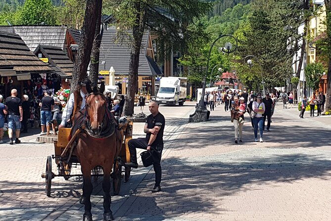 full-day-private-tour-of-slovakia-treetop-walk-and-zakopane