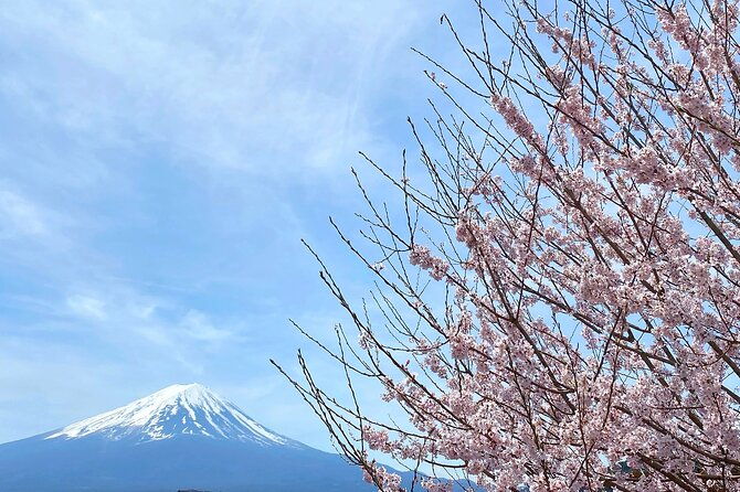 full-day-private-tour-to-mt-fuji-by-luxury-vehicle