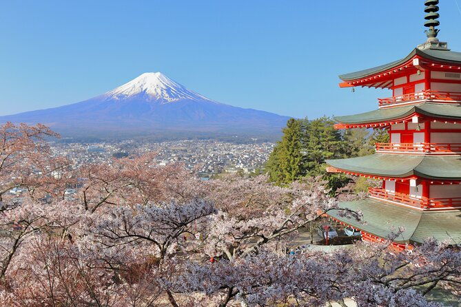 full-day-tour-to-mount-fuji-in-spanish