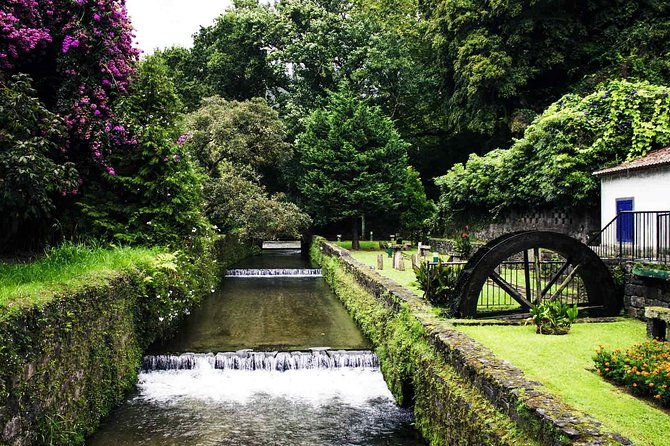 furnas-and-terra-nostra-botanic-park-guided-tour-w-hotsprings