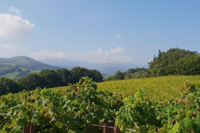 getaria-txakoli-wine-tour-with-hotel-pick-up-from-san-sebastian