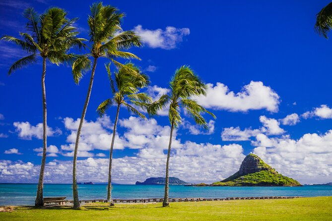 grand-circle-island-and-haleiwa-9-hour-tour