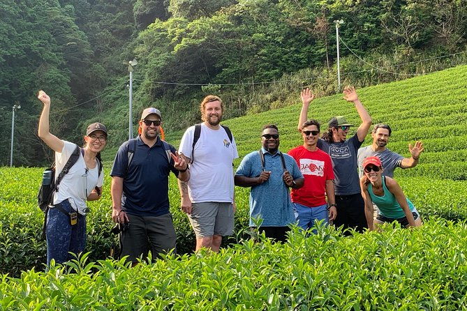 guided-bike-tour-to-a-green-tea-farm-in-shizuoka-not-e-bikes