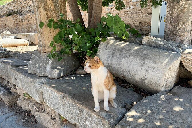 guided-ephesus-tour-from-to-izmir