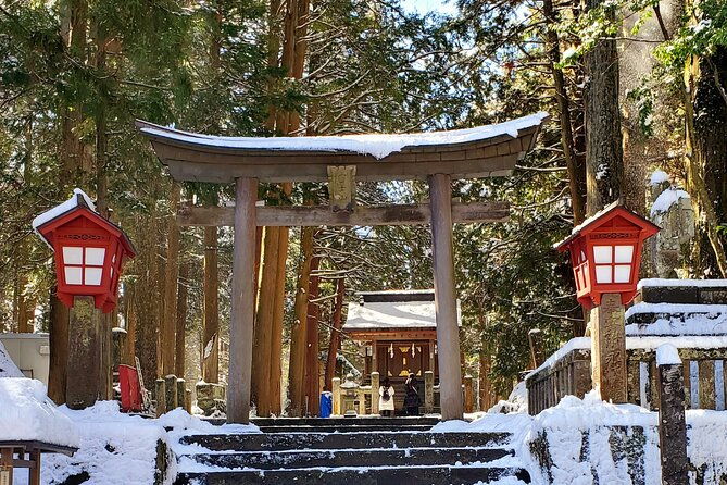 guided-private-mt-fuji-and-hakone-tour-green-number-plates