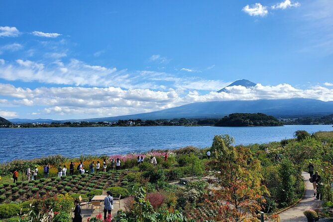 guided-shimizu-port-to-mt-fuji-private-tour-green-number-plates