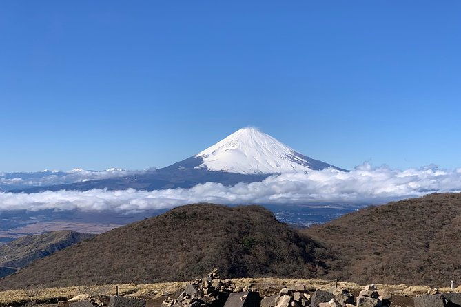 hakone-private-one-day-tour-from-tokyo-mt-fuji-lake-ashi-hakone-national-park