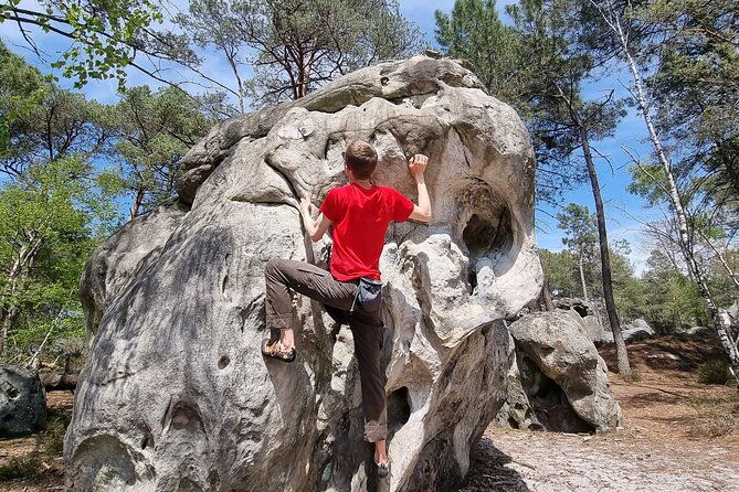 half-day-bouldering-in-fontainebleau