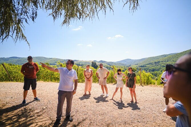 half-day-experience-to-san-gimignano-hills-with-picnic-and-wine