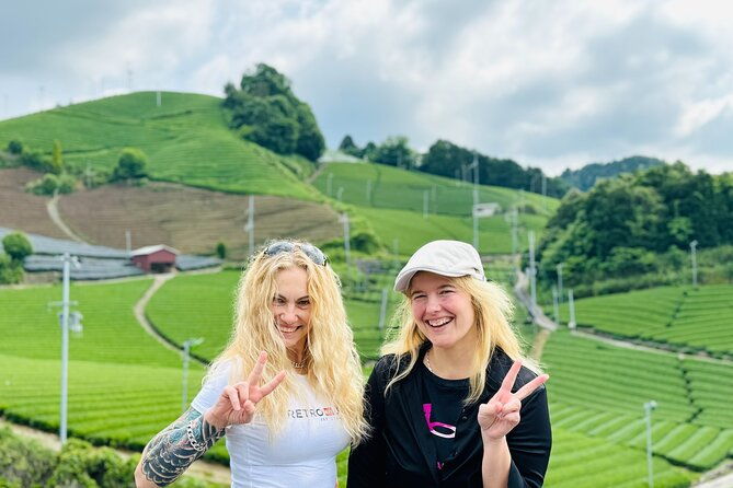 half-day-nara-and-matcha-farm-private-van-tour