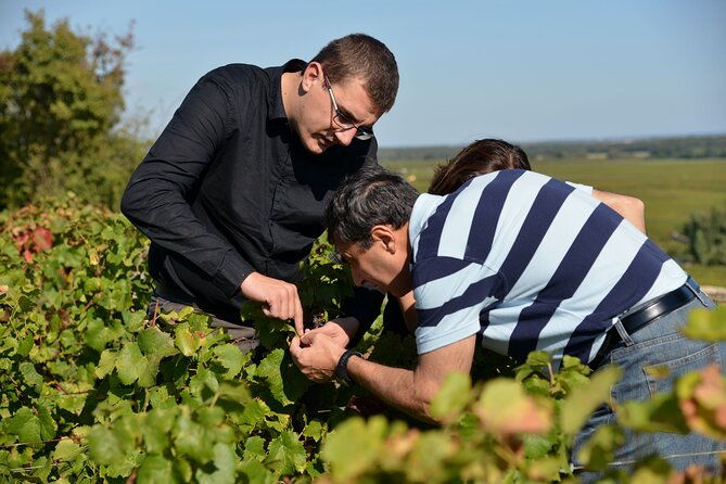 half-day-tour-of-the-cote-de-nuits-vineyards-from-dijon