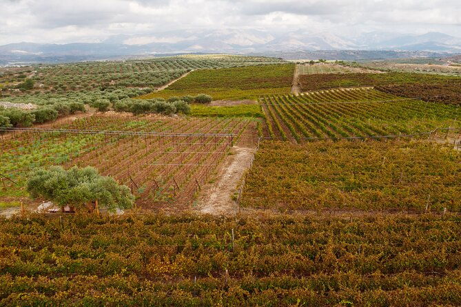 heraklion-private-half-day-wine-tasting-tour-in-lyrarakis-winery