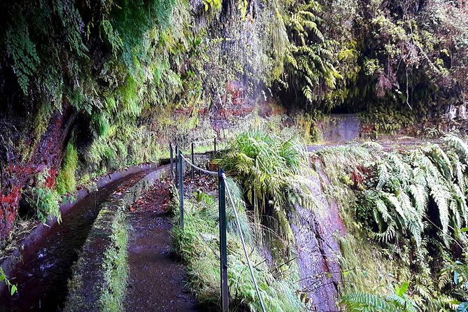 hidden-corners-levada-walk-from-funchal
