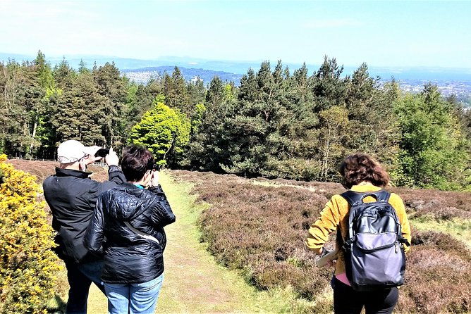 hill-nature-hike-discover-real-edinburgh-with-a-local-expert