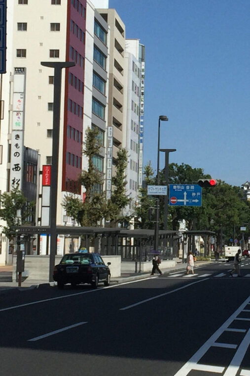himeji-private-guide-tour-of-the-castle-from-osaka-or-kyoto
