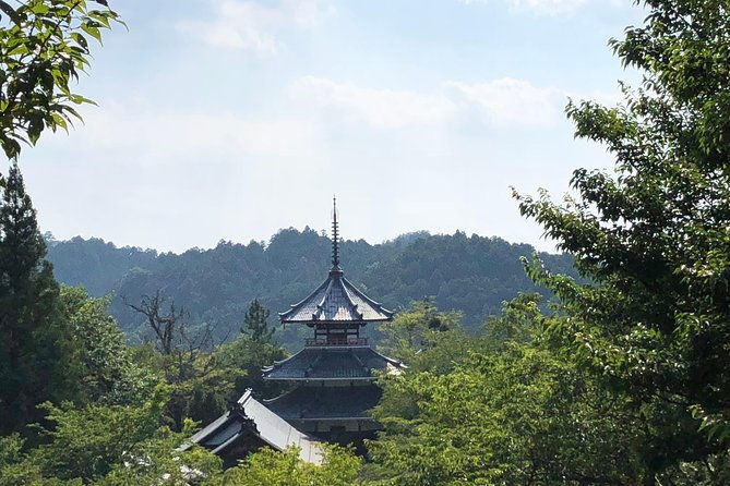 historic-and-natural-guided-hike-in-yoshino