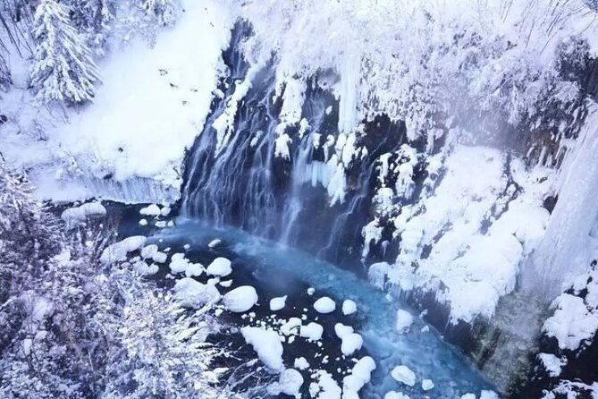 hokkaido-day-tour-from-sapporo-asahiyama-zoo-blue-pond-japan