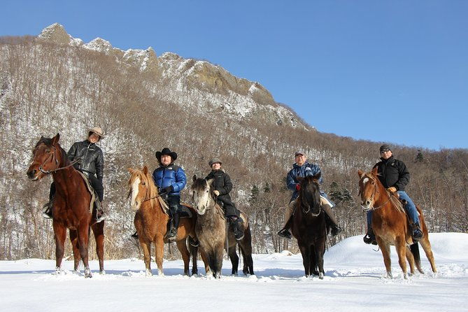 horseback-riding-in-a-country-side-in-sapporo-private-transfer-is-included