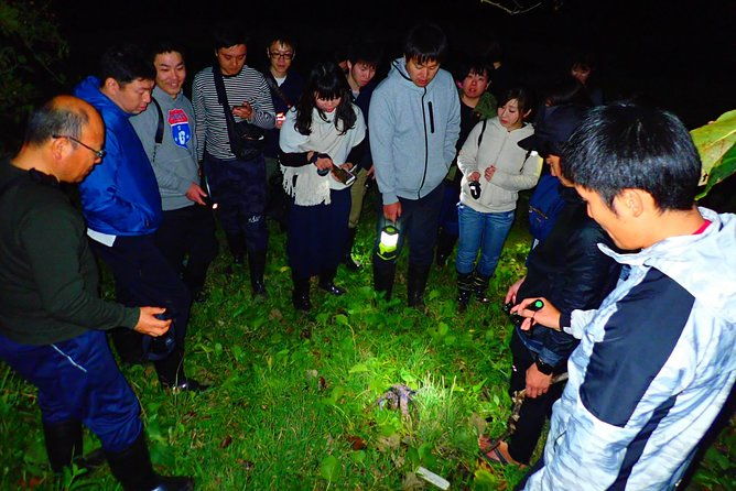 ishigaki-night-jungle-tour