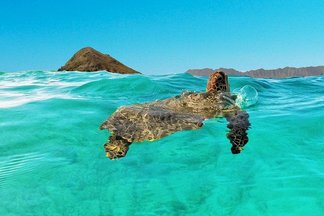 kailua-bay-oahu-epic-kayak-adventure-with-beachside-lunch