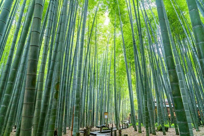 kamakura-heritage-bike-or-walk-tour-with-ex-rickshaw-guide