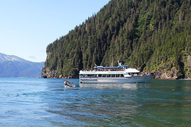 kenai-fjords-national-park-glacier-wildlife-cruise-from-seward