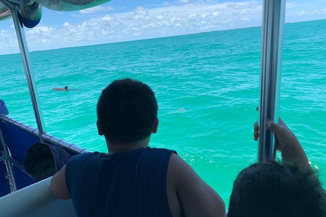 key-west-dolphin-watch-and-snorkel-tour-eco-adventure