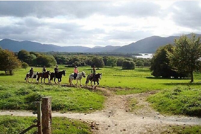 killarney-national-park-horseback-ride-co-kerry-guided-3-hours