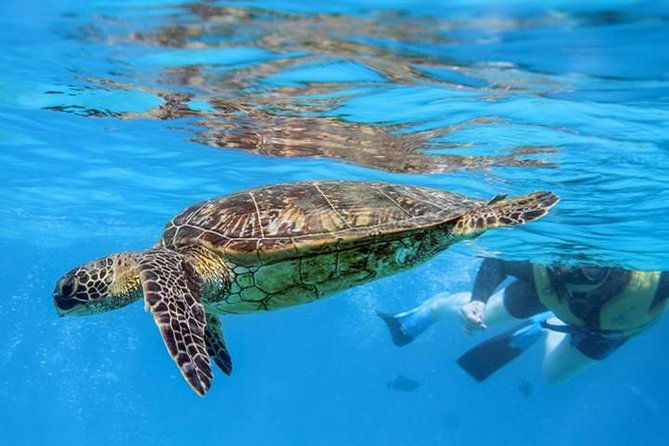 ko-olina-catamaran-sail-and-snorkel