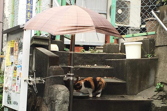 kobe-shioya-a-quaint-fishing-town-walking-tour