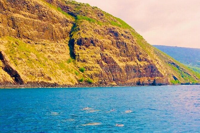 kona-wild-dolphin-sea-cave-captain-cook-reef-snorkel-adventure