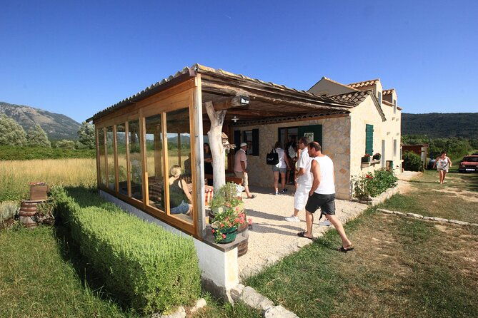 konavle-wine-tasting-tour-from-dubrovnik-with-2-vinerys