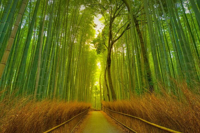 kyoto-exclusive-private-tour-with-vehicle-professional-guide