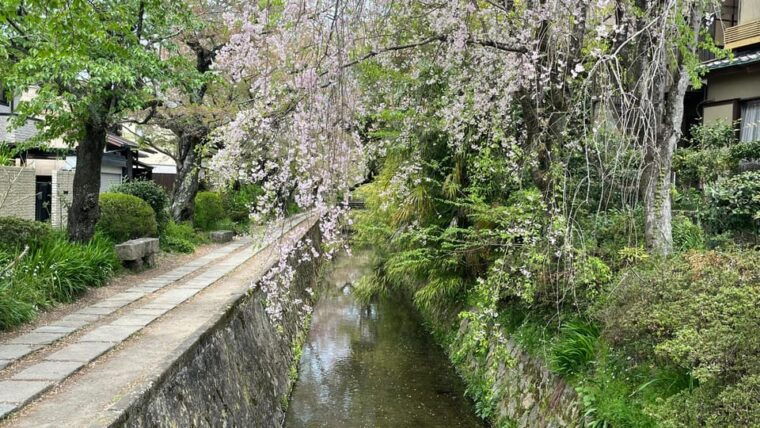 kyoto-half-day-private-guided-tour-of-the-silver-pavilion