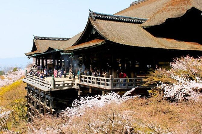 kyoto-matcha-experience-and-ancient-temple-day-tour