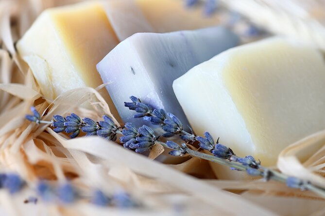 lavender-route-small-group-day-trip-from-avignon