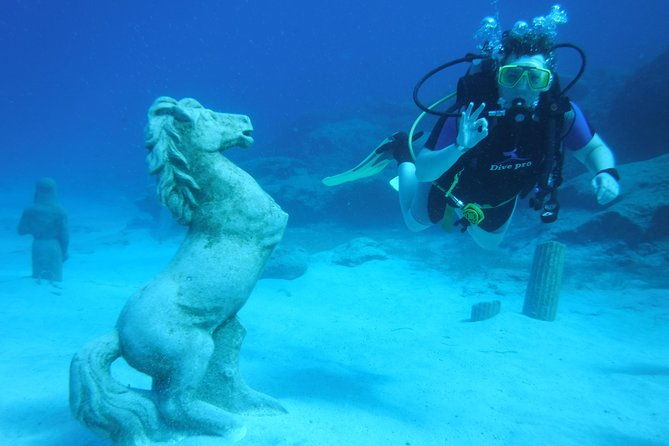 local-guided-dives-for-certified-licensed-divers
