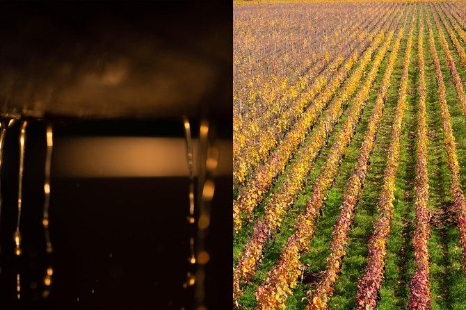 luxury-luxury-wine-tour-experience