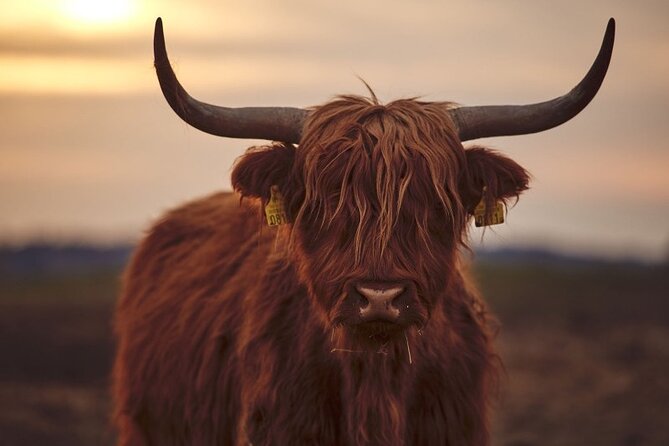 luxury-private-tour-of-the-highlands-loch-ness-from-edinburgh
