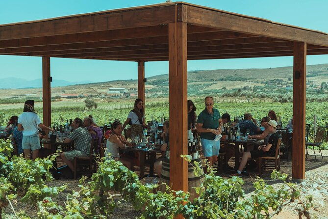 luxury-private-wine-tasting-in-crete-also-for-cruise-ships