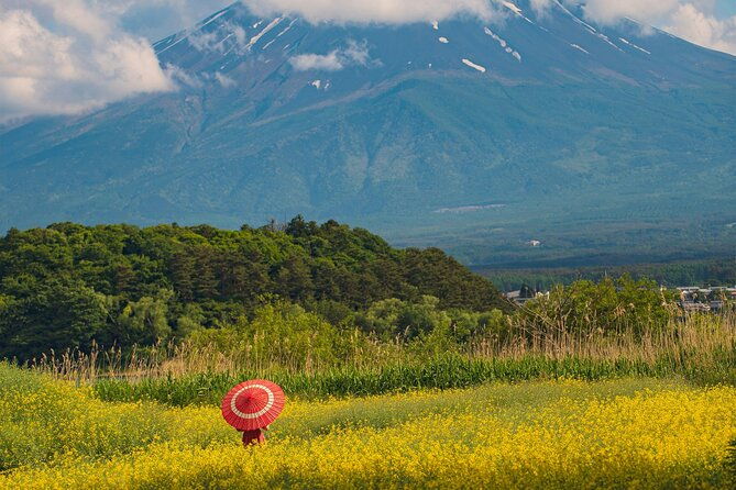 majestic-mount-fuji-exclusive-private-day-tour